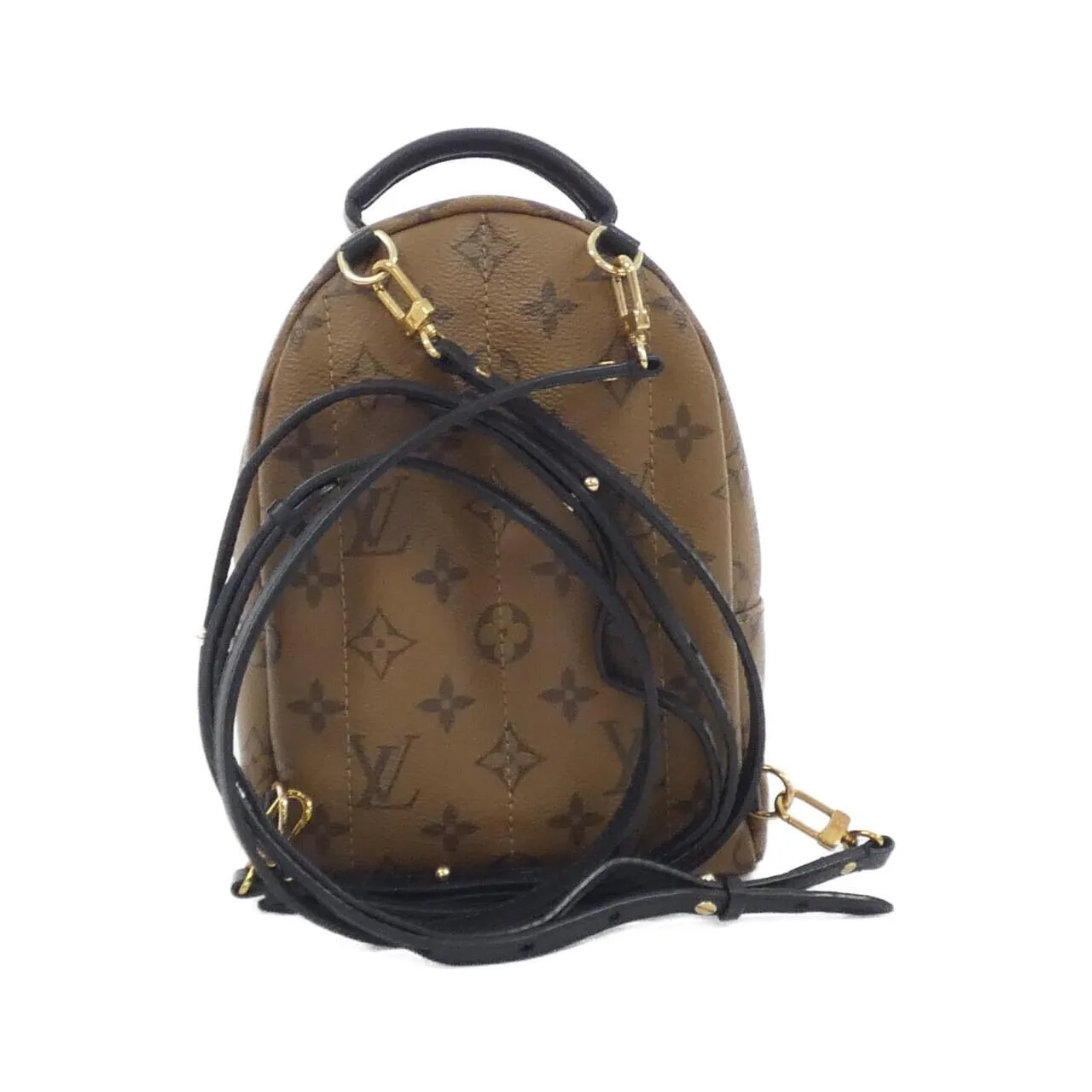 Louis Vuitton Reverse Palm Springs