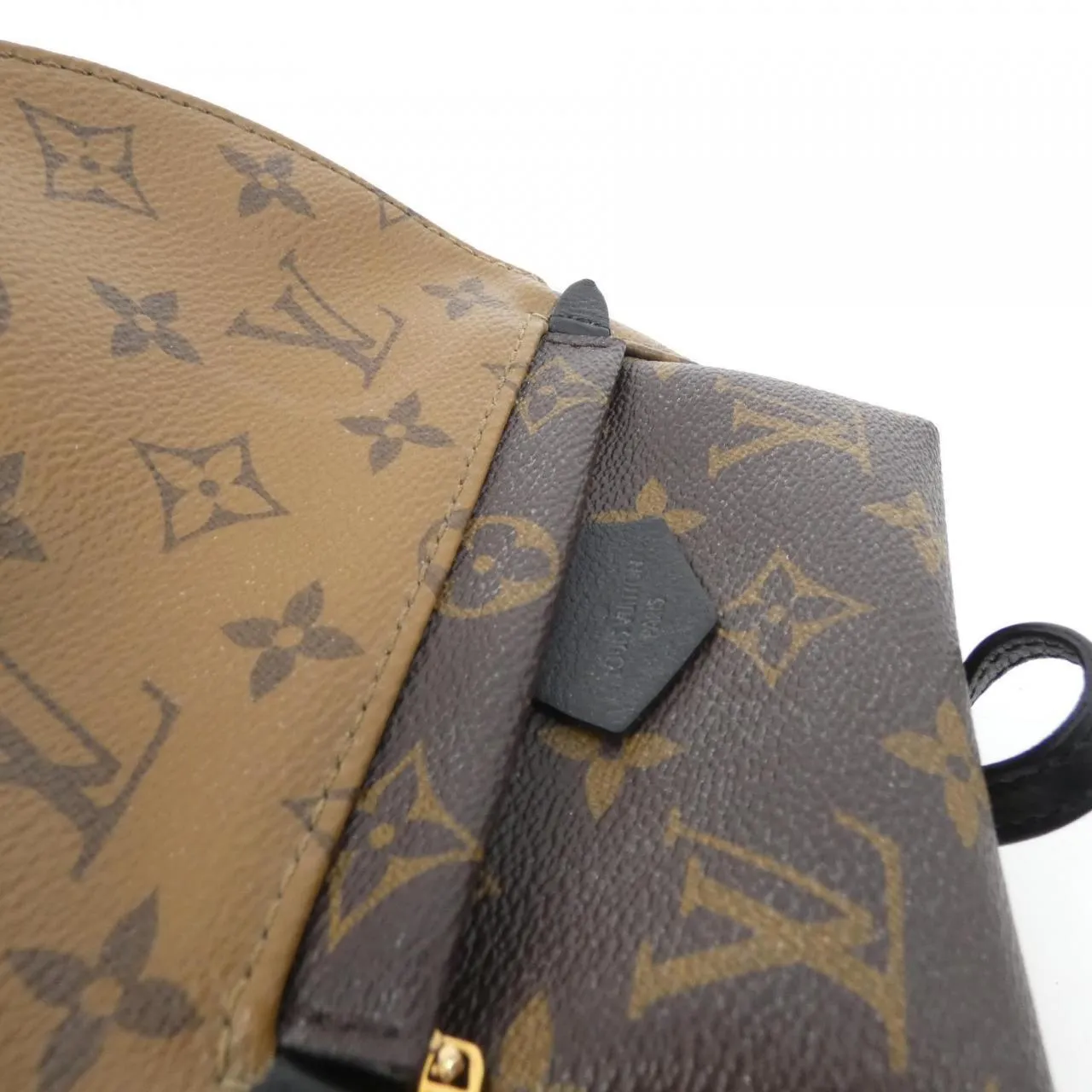 Louis Vuitton Reverse Palm Springs