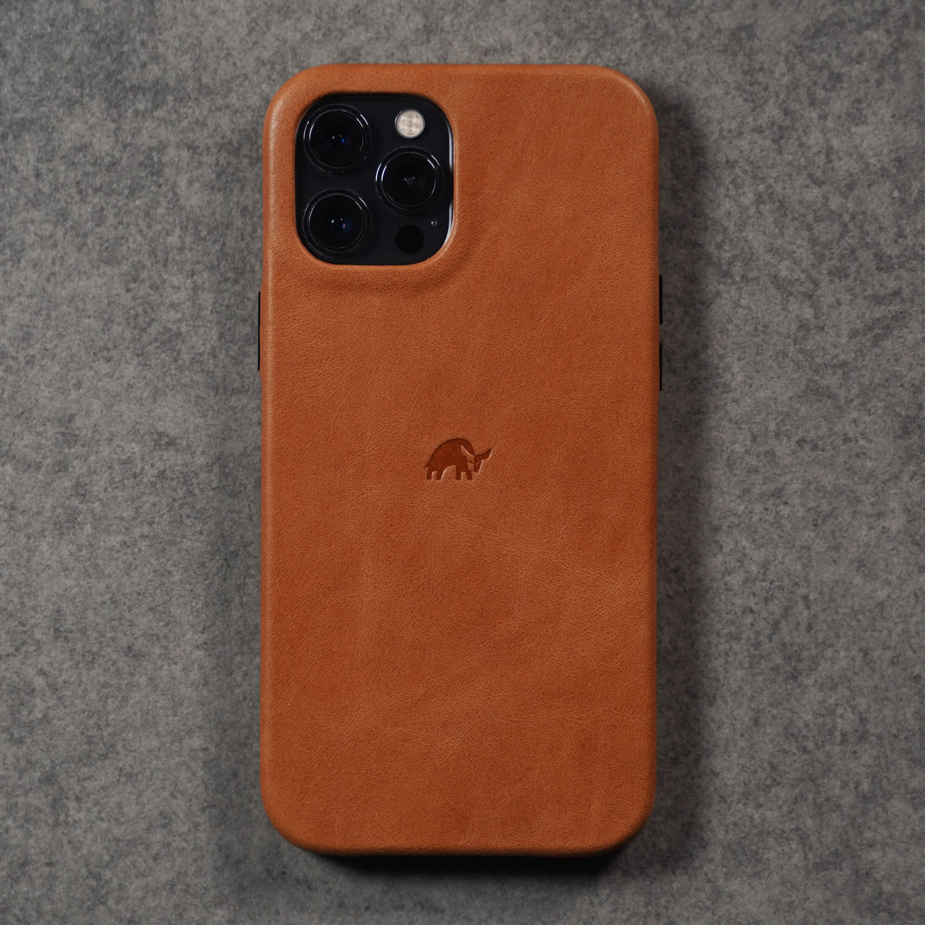 The Minimalist Case - SIENNA